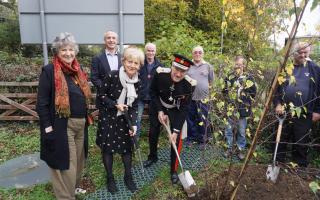 The tree was one of 350 used in the Queen's Platinum Jubilee celebrations' Tree of Trees sculpture.