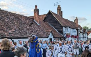 A large stag performed with St Albans Morris.